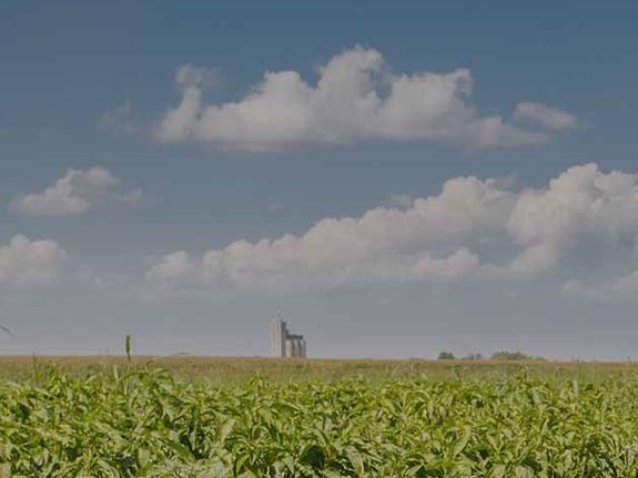 Apie UAB „AGROSISTEMŲ SERVISAS“